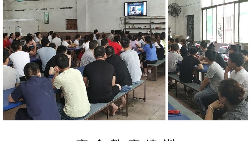 行业现状：价格战下的困境
